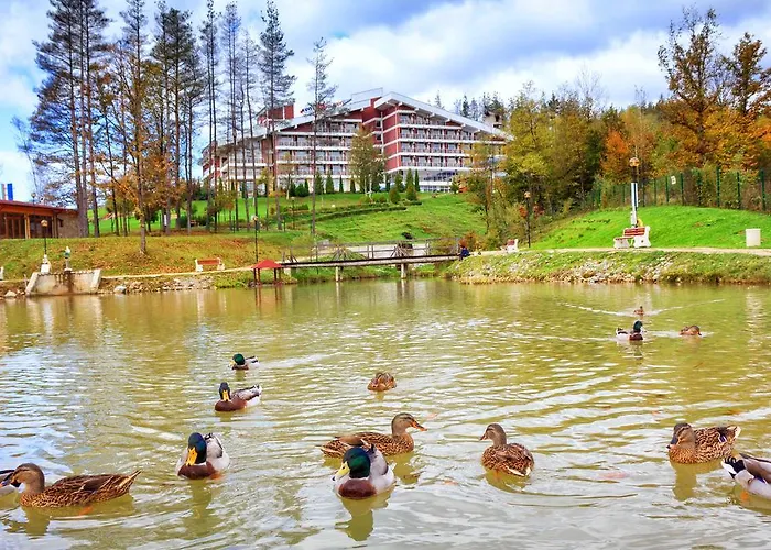 релакс кооп